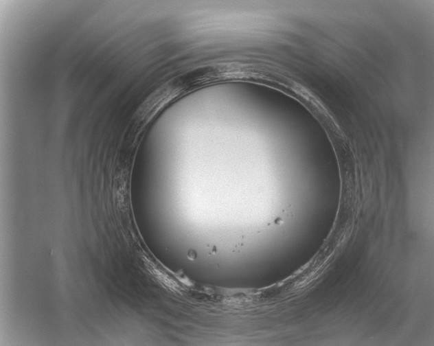 X0000060570801200511171630