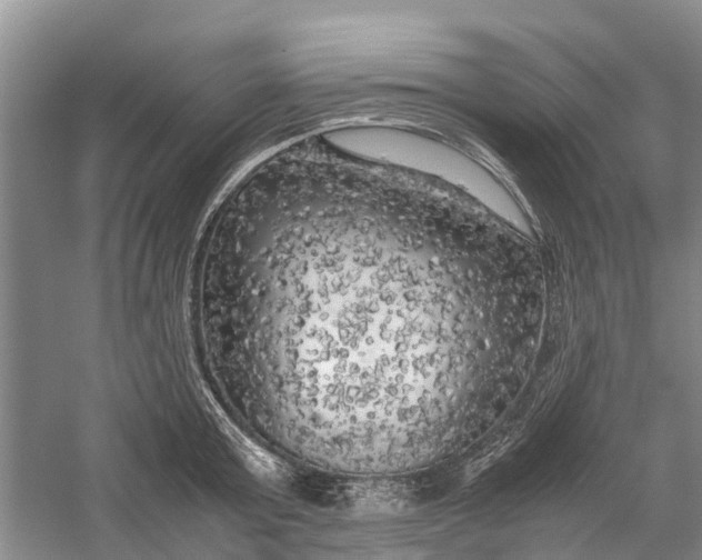 X0000060570803200511171630