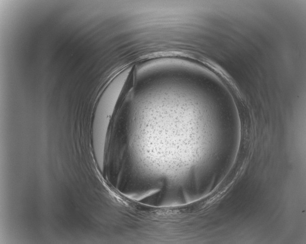 X0000060570809200511171630