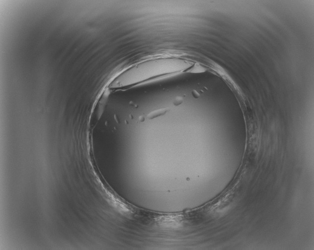 X0000060570810200511171630