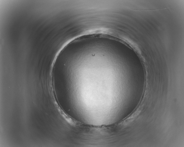 X0000060570816200511171630