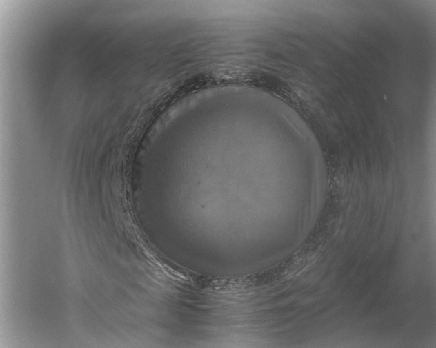 X0000060570817200511171629