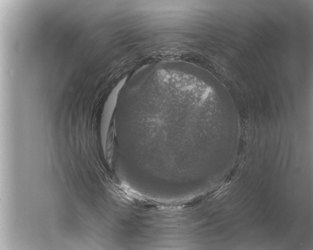 X0000060570818200511171629