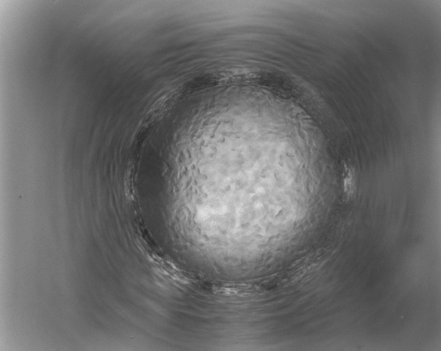 X0000060570819200511171629