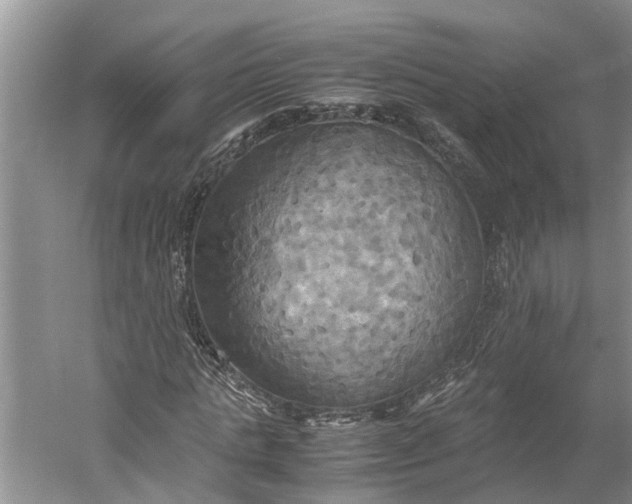 X0000060570821200511171629