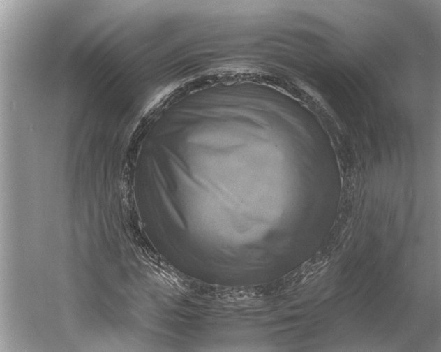 X0000060570823200511171629