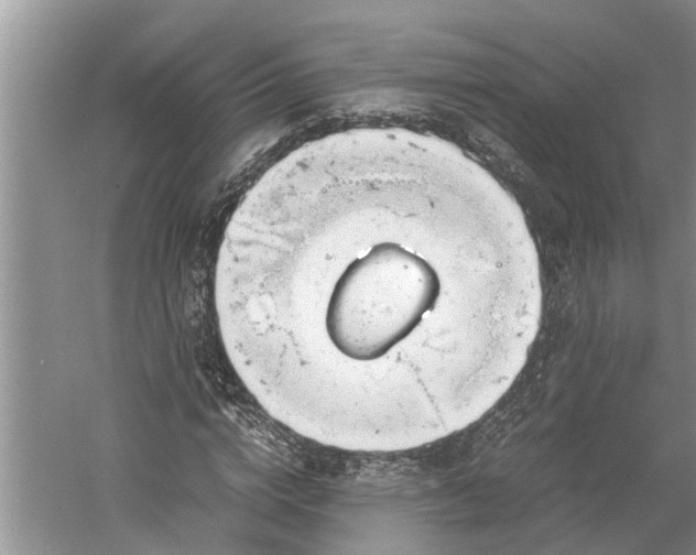 X0000060570824200511171629