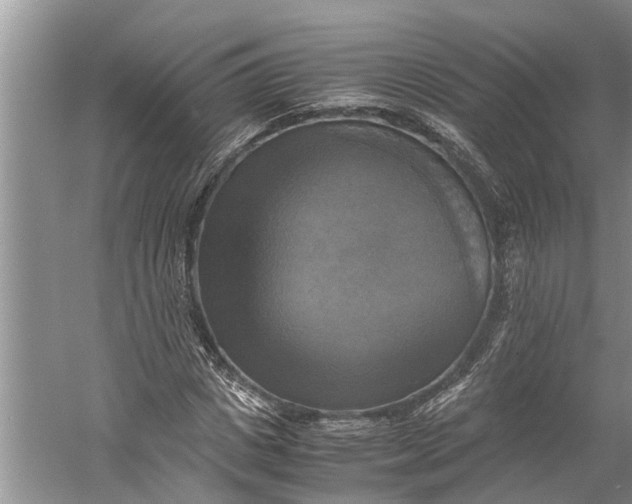 X0000060570825200511171629