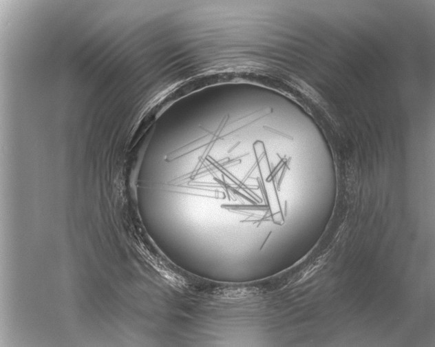 X0000060570826200511171629