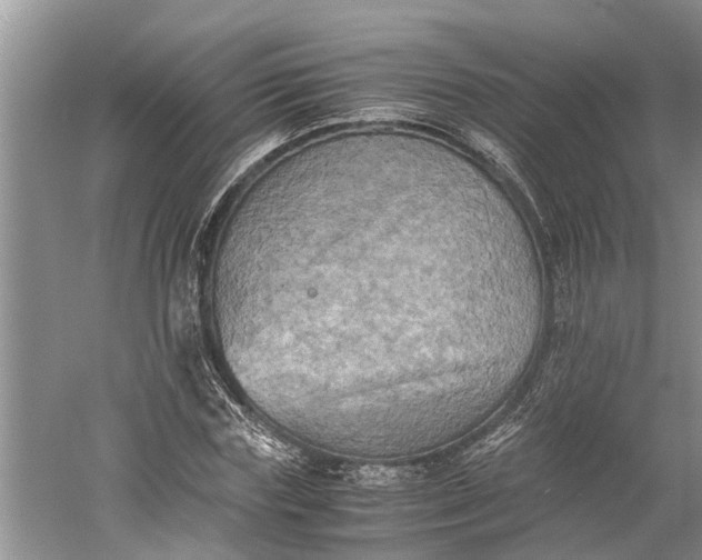 X0000060570827200511171629