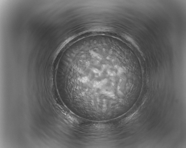 X0000060570829200511171629