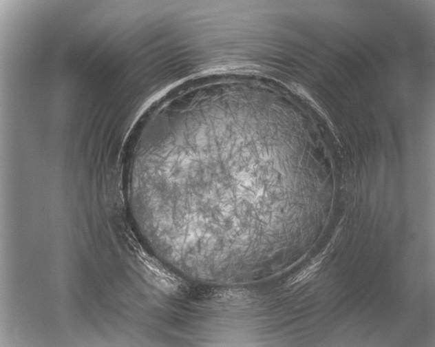 X0000060570830200511171629