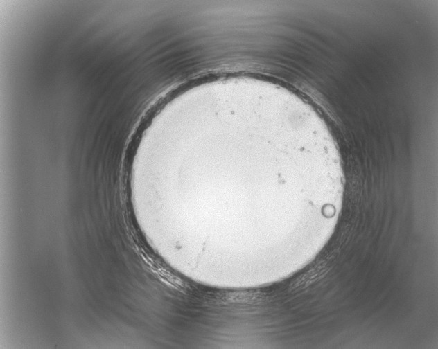 X0000060570832200511171629