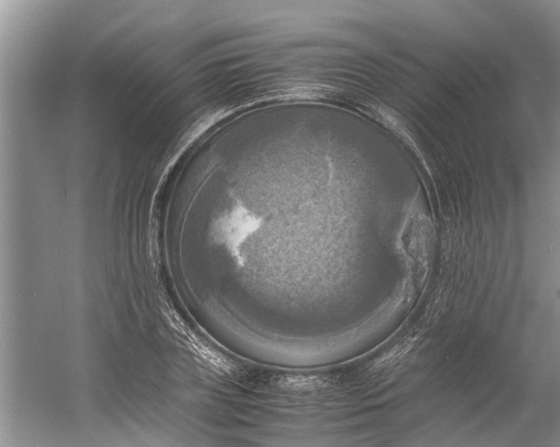 X0000060570835200511171629