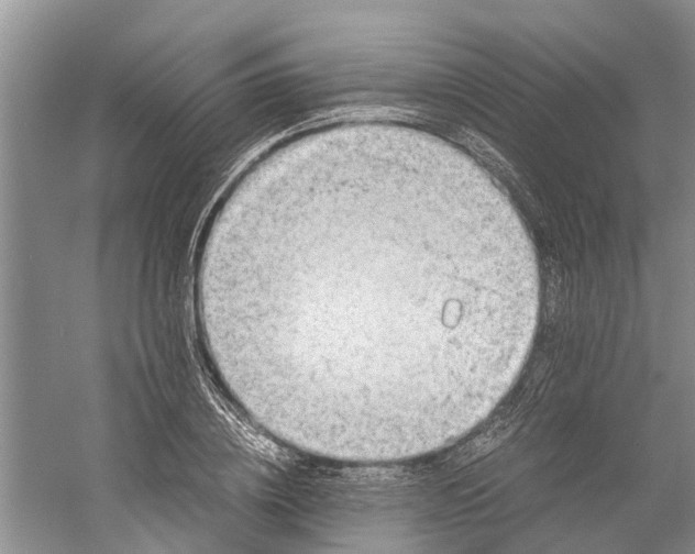 X0000060570836200511171629