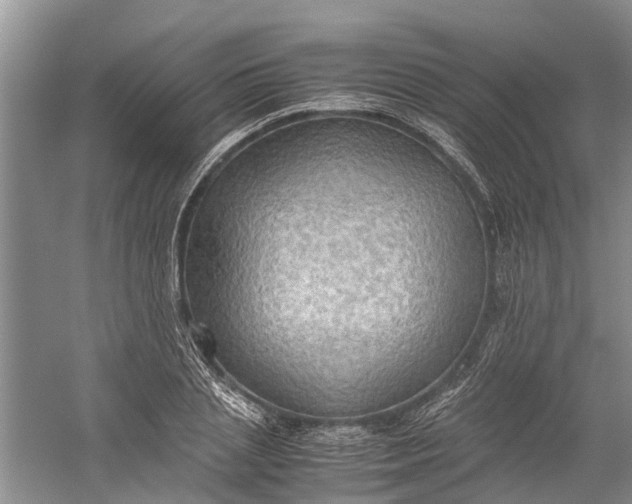 X0000060570837200511171629