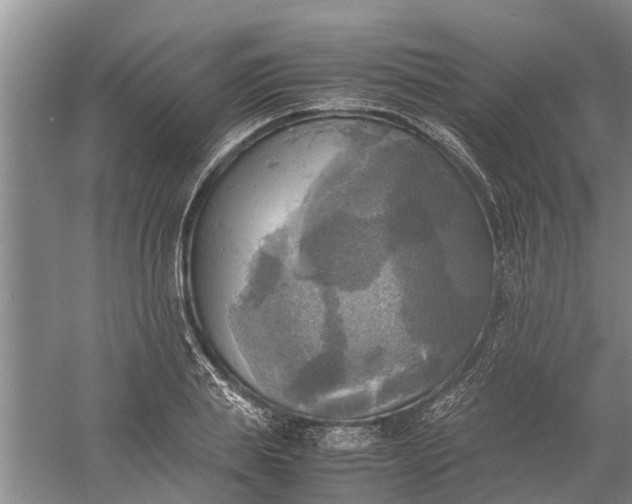 X0000060570839200511171629