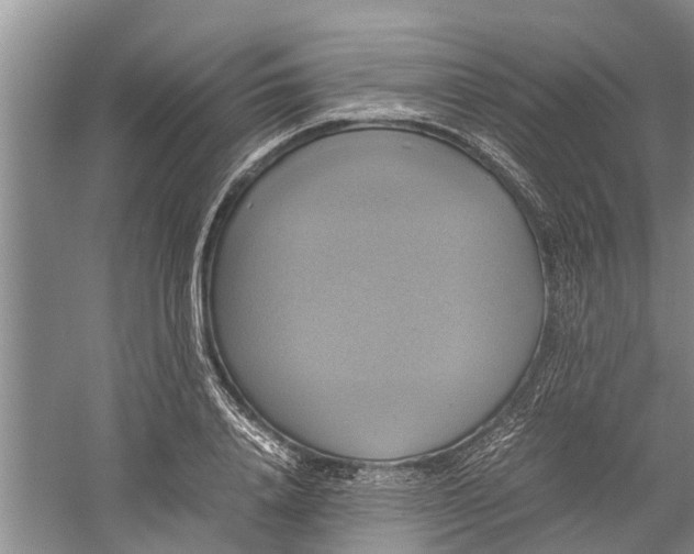 X0000060570840200511171629