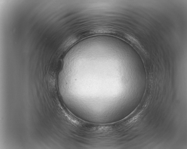 X0000060570841200511171629