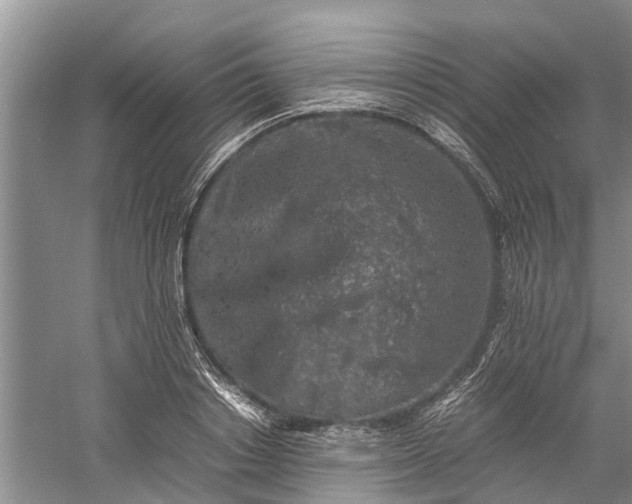 X0000060570842200511171629