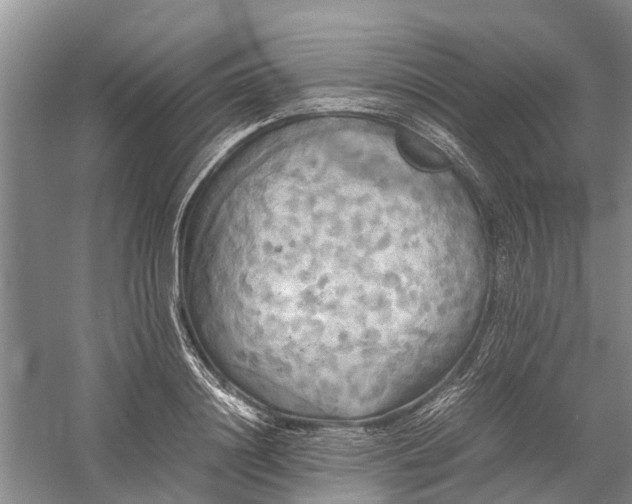 X0000060570844200511171629