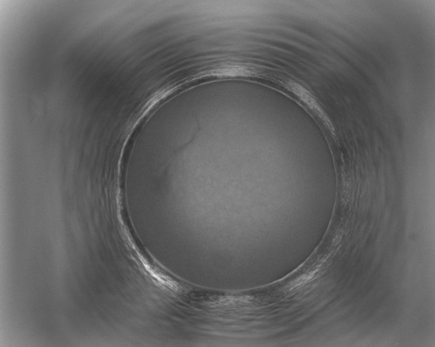 X0000060570845200511171629