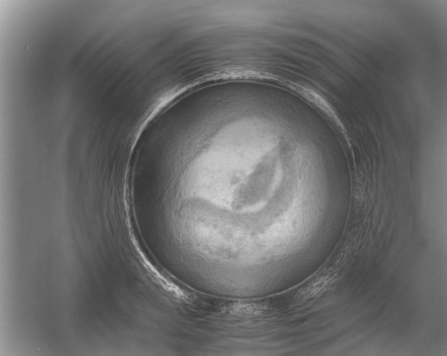 X0000060570847200511171629