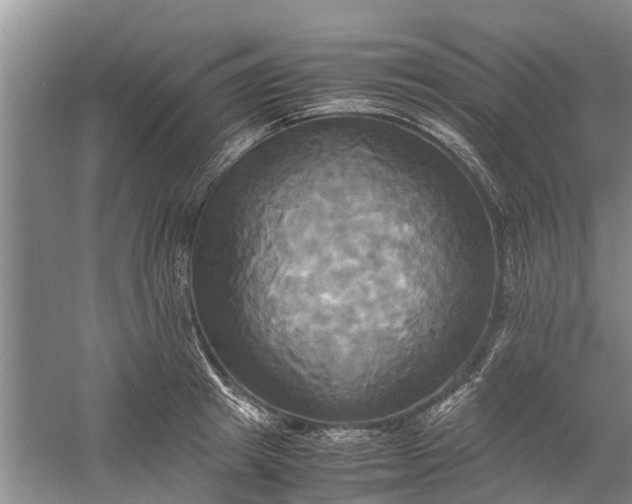 X0000060570849200511171629