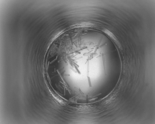 X0000060570850200511171629