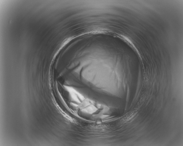 X0000060570851200511171629