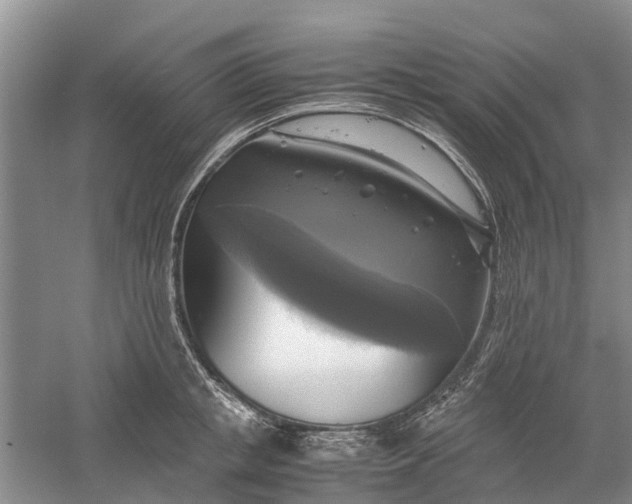 X0000060570853200511171629