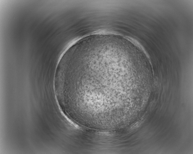 X0000060570855200511171629