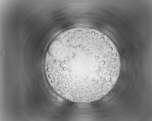 X0000060570856200511171629