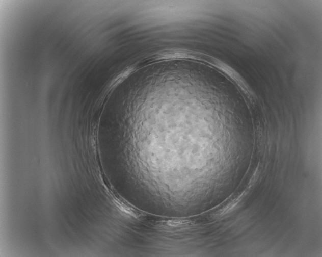 X0000060570857200511171629