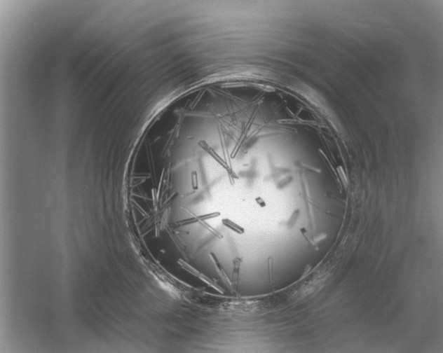 X0000060570858200511171629