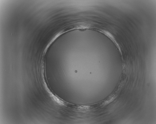 X0000060570859200511171629