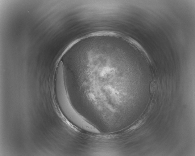 X0000060570860200511171629