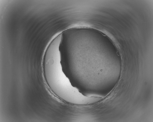 X0000060570864200511171630