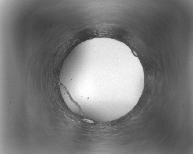 X0000060570865200511171629