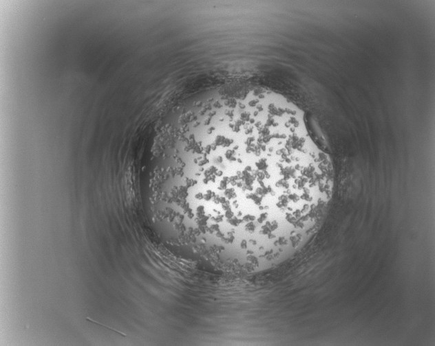 X0000060570866200511171629