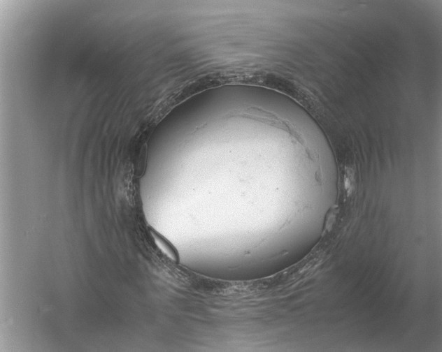 X0000060570867200511171629