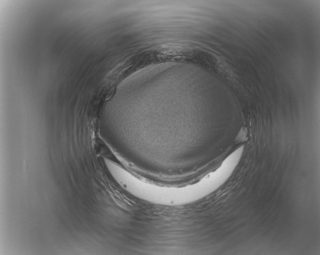 X0000060570868200511171629