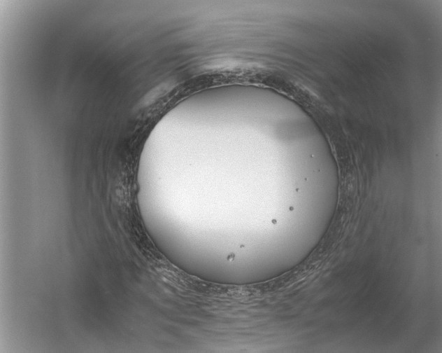 X0000060570869200511171629