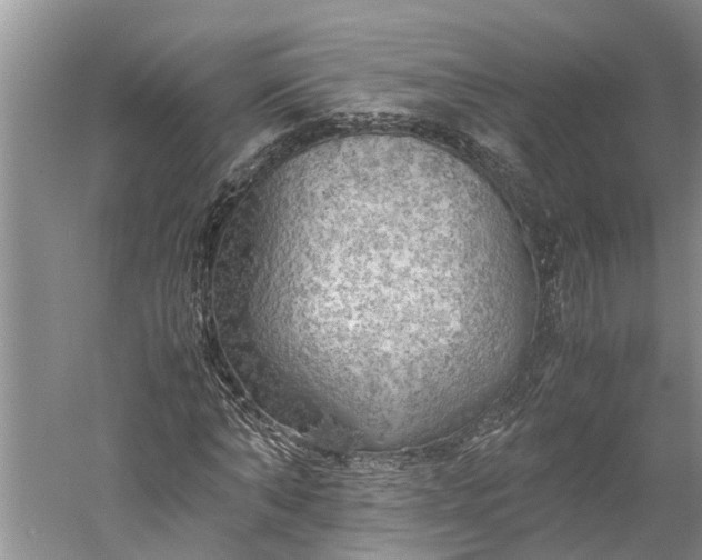 X0000060570870200511171629