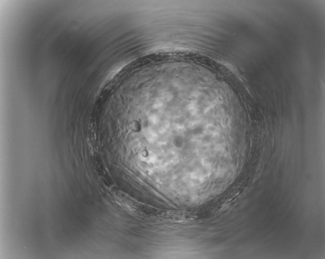 X0000060570871200511171629