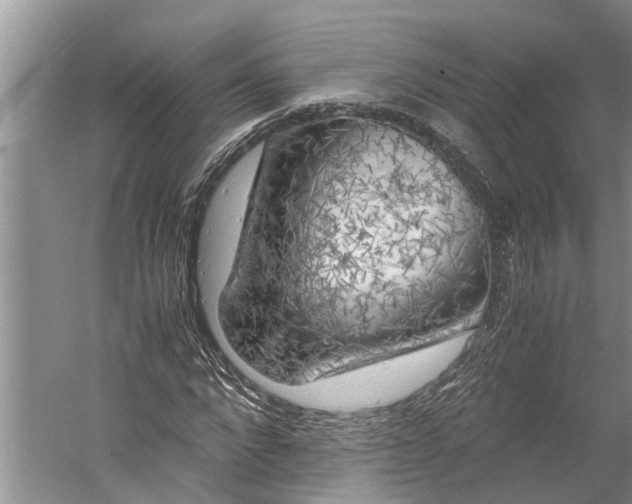 X0000060570872200511171629