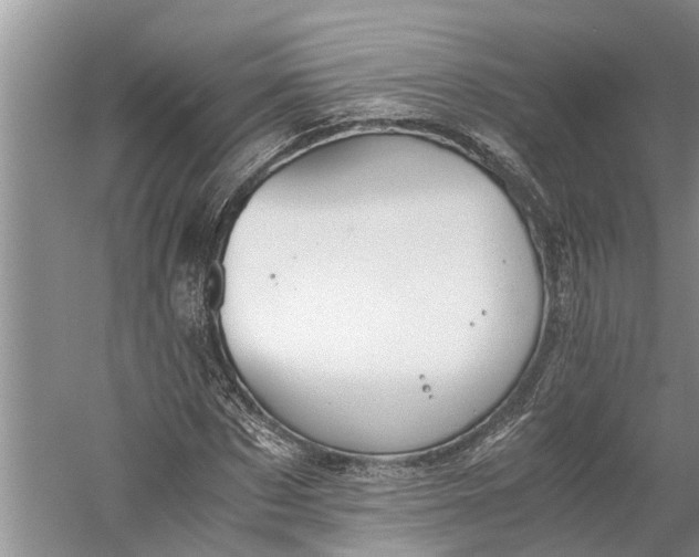 X0000060570873200511171629