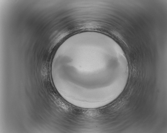 X0000060570874200511171629