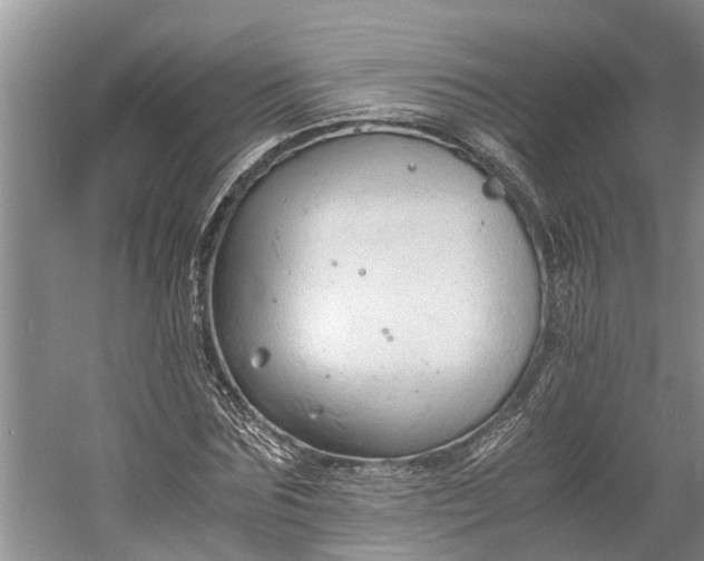 X0000060570875200511171629