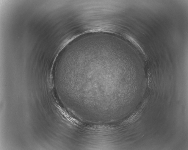 X0000060570876200511171629